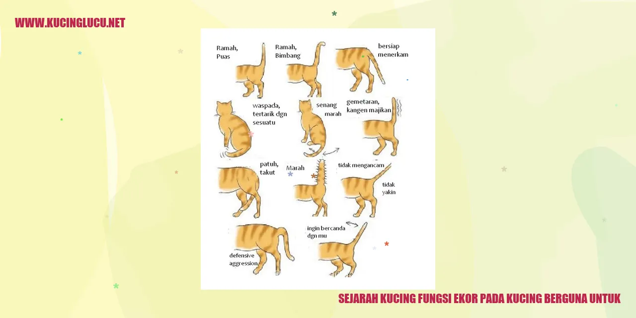 gambar ekor kucing