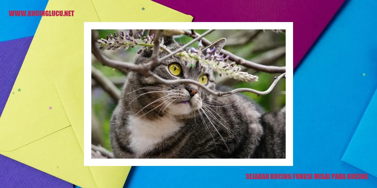 Gambar Kucing