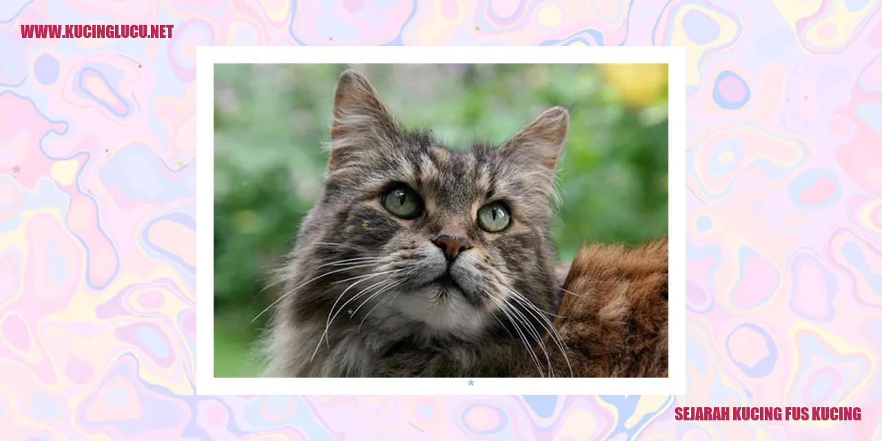 Foto Kucing Lucu