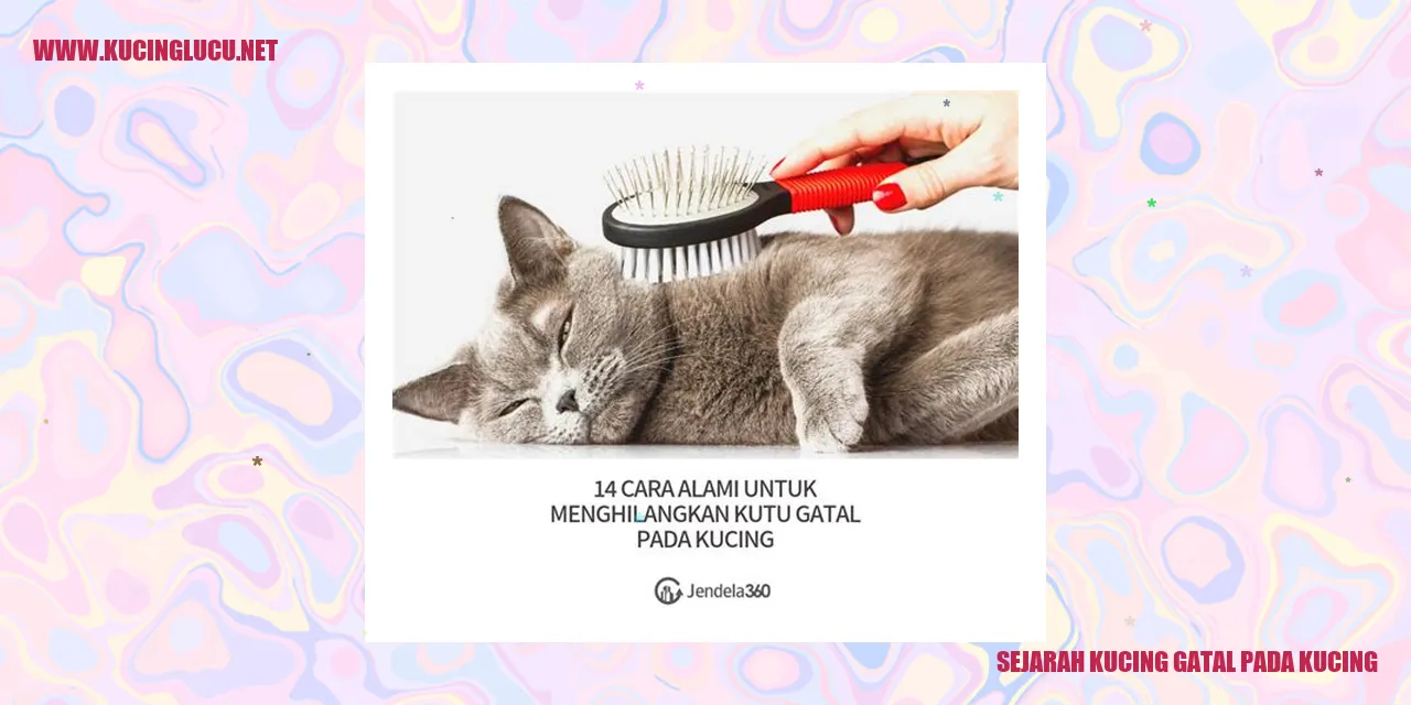 Kucing Gatal