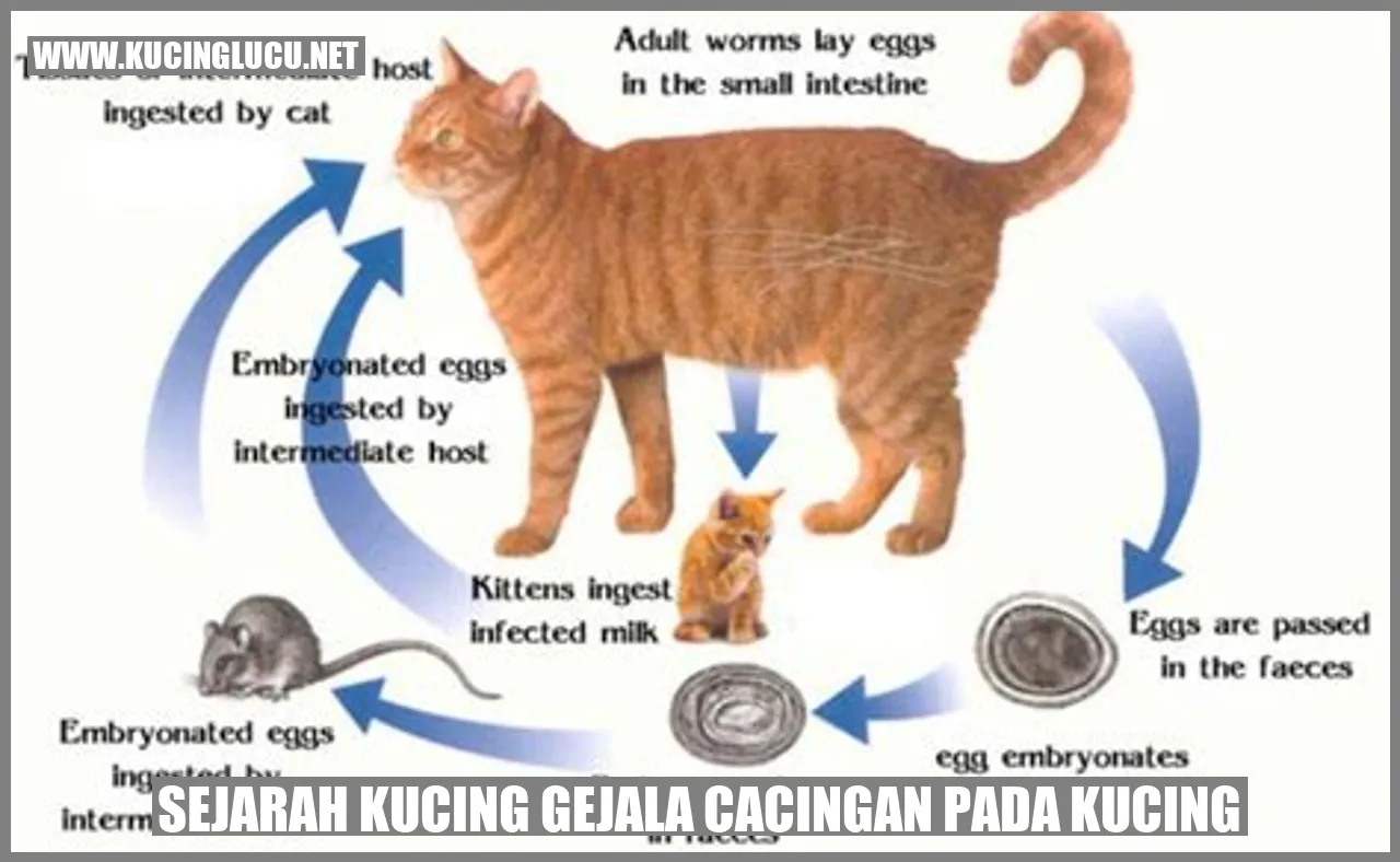 Gambar kucing yang menggemaskan