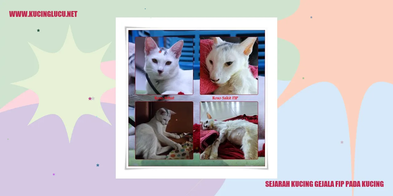 Kucing Gejala FIP