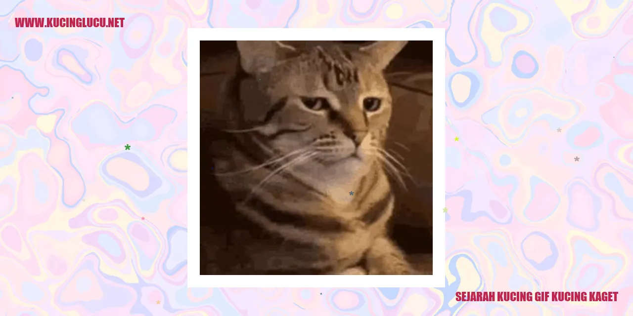 Sejarah Kucing Gif Kucing Kaget