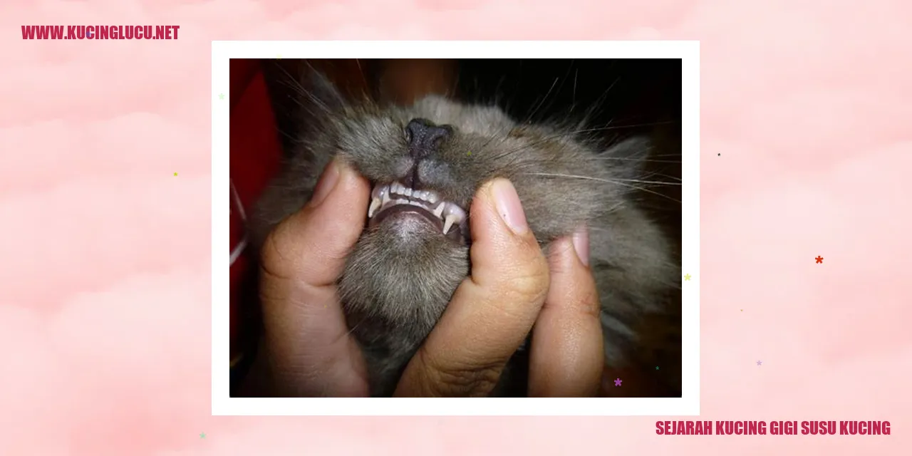 Gambar Sejarah Kucing Gigi Susu Kucing