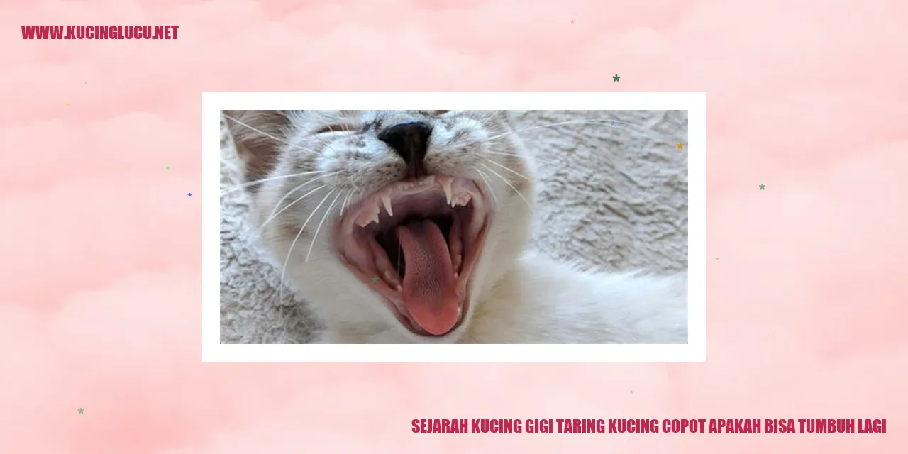 Sejarah Kucing Gigi Taring Kucing Copot Apakah Bisa Tumbuh Lagi