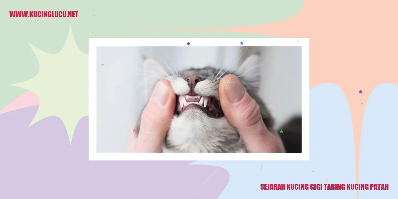 Kucing Patah