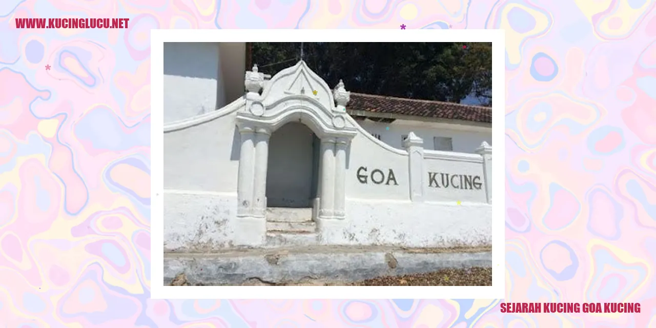 Gambar Kucing Goa Kucing