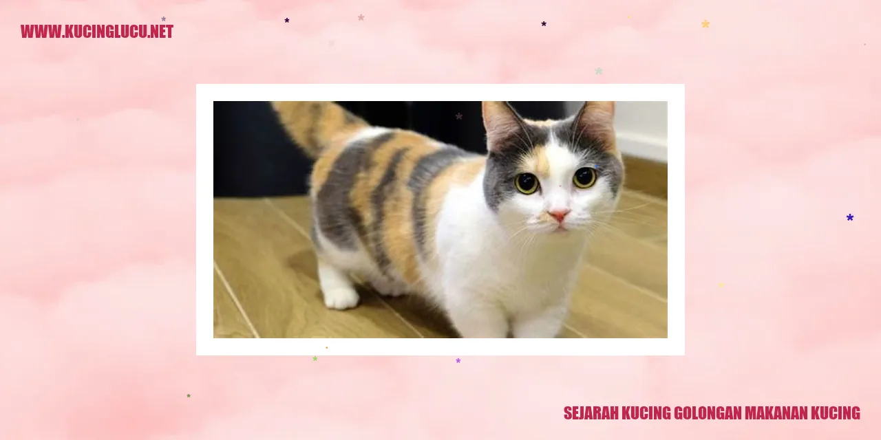 Sejarah Makanan Kucing dalam Golongannya