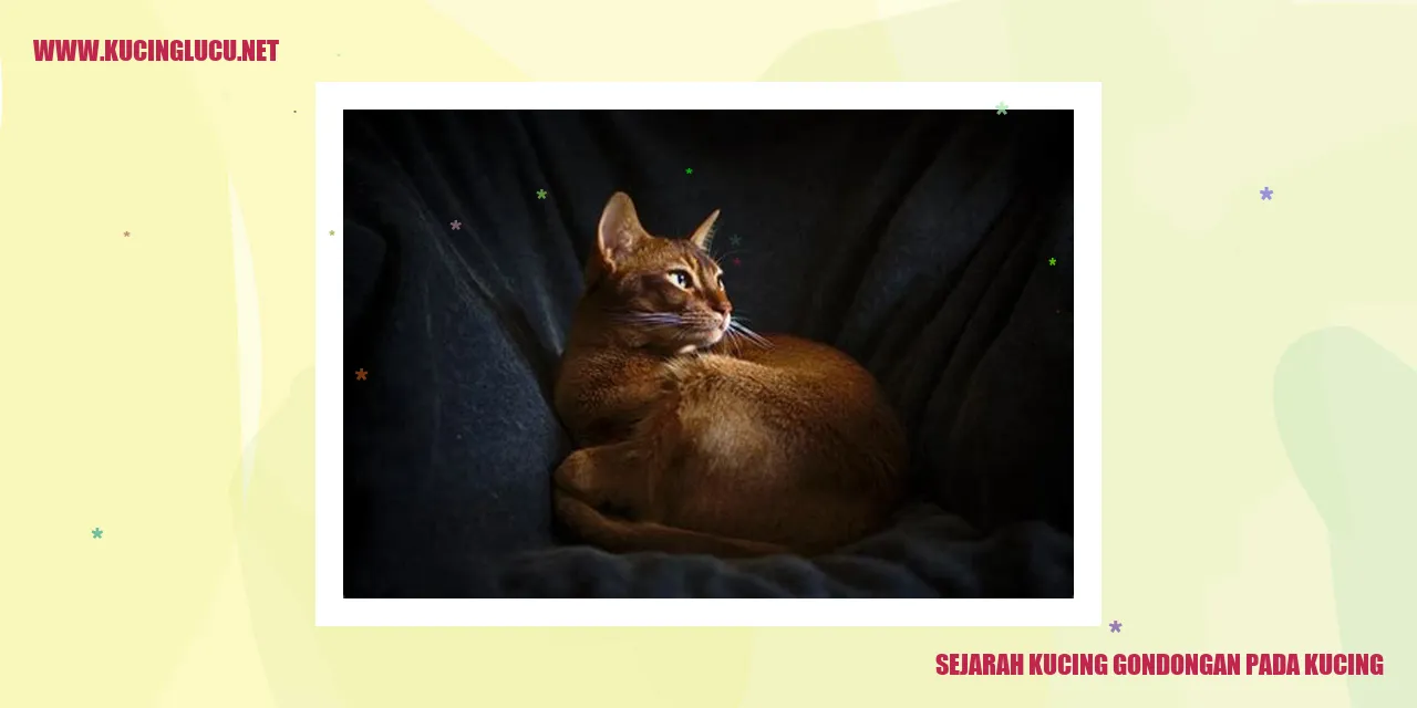 Kucing Gondongan