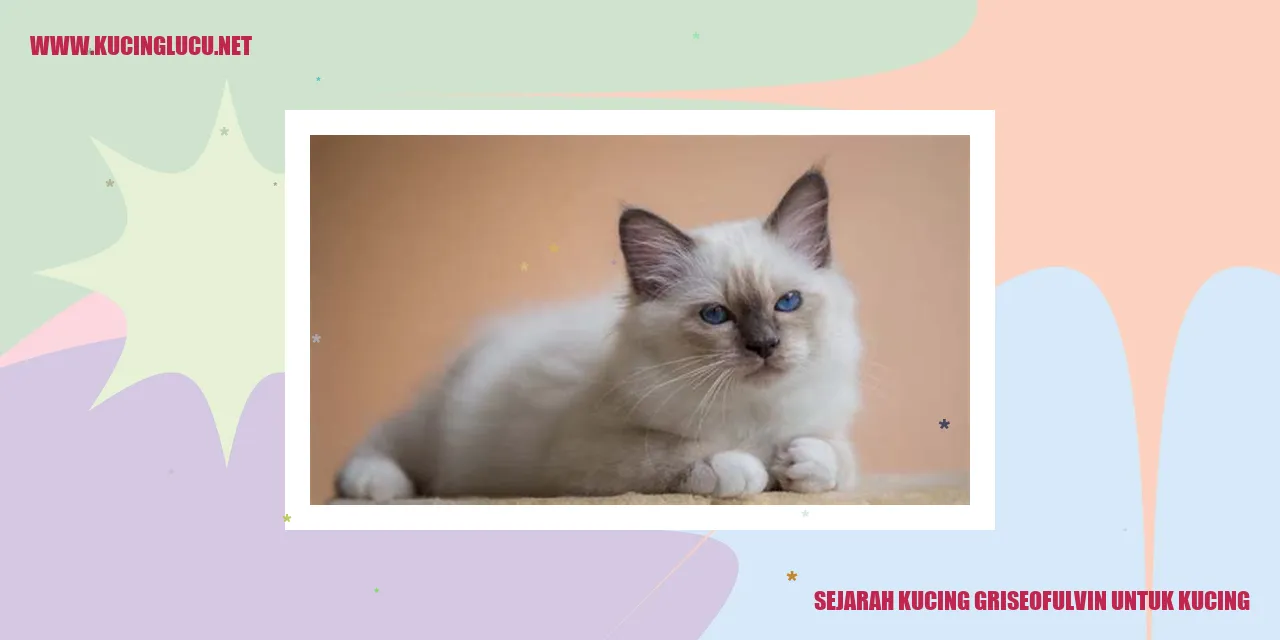 Kucing griseofulvin