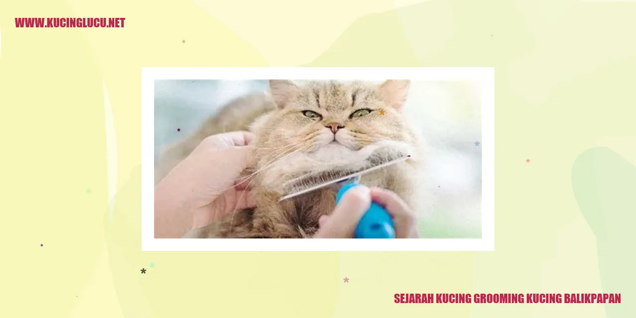 Grooming Kucing