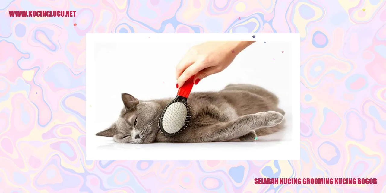 Perawatan kucing