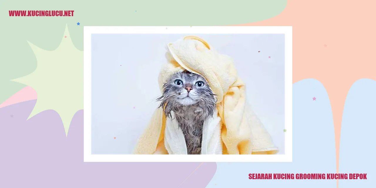 Sejarah Grooming Kucing di Depok