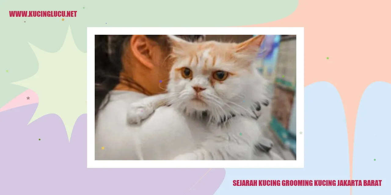 Grooming Kucing