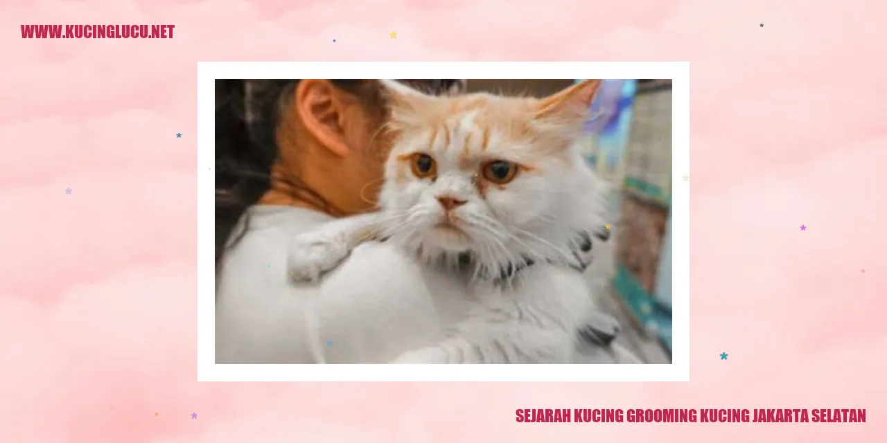Grooming Kucing