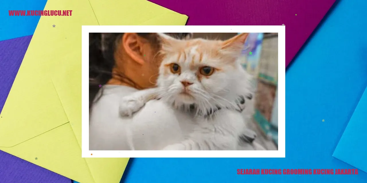 Gambar Perawatan Kucing di Jakarta