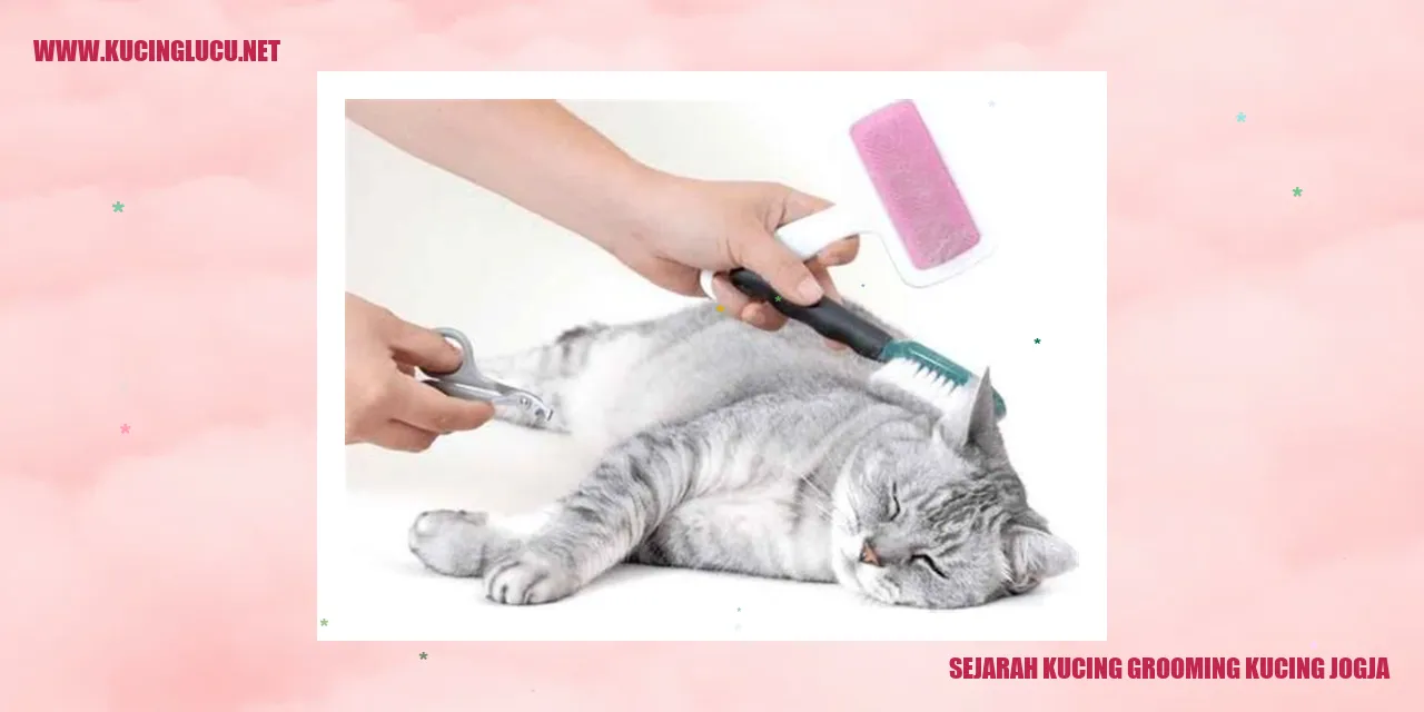 Sejarah Grooming Kucing di Jogja