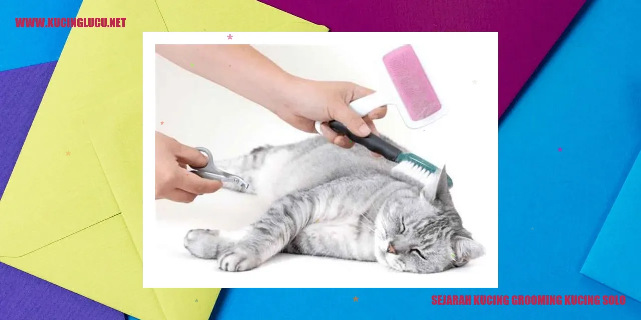 Sejarah Grooming Kucing di Solo