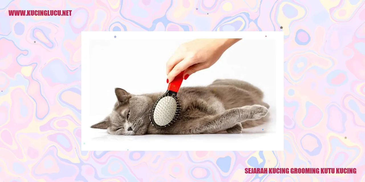 Kucing grooming kutu kucing