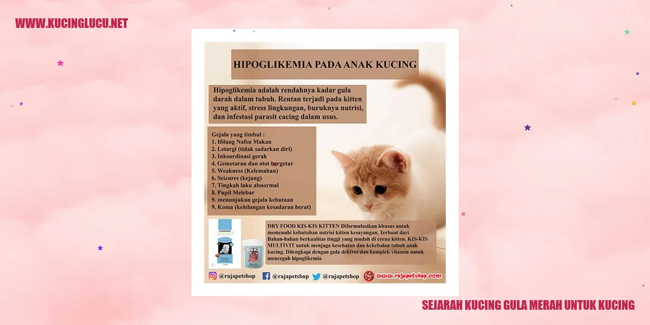 Sejarah Makanan Kucing Gula Merah