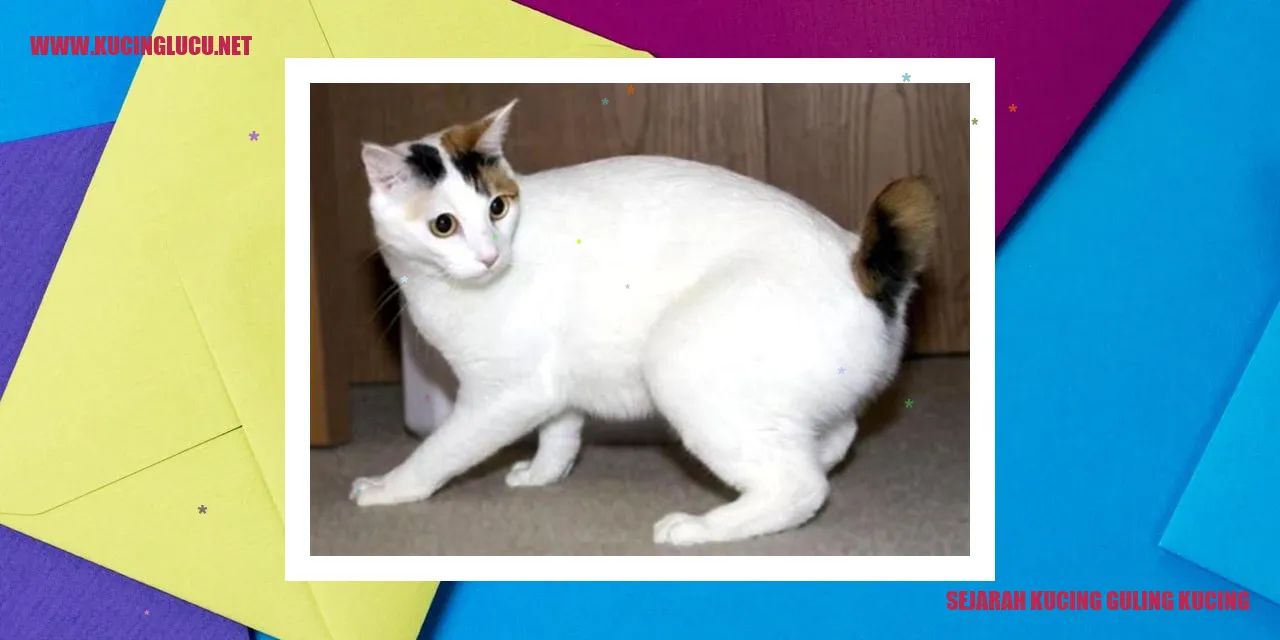 Kucing guling kucing