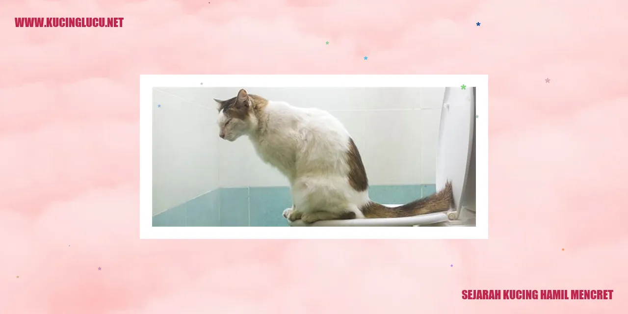 Sejarah Kucing Hamil Mencret