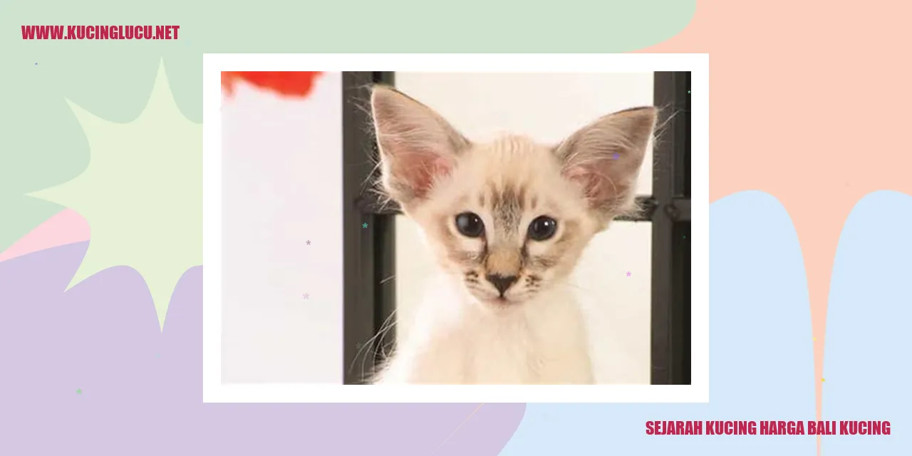 Gambar: Sejarah Kucing harga Bali Kucing