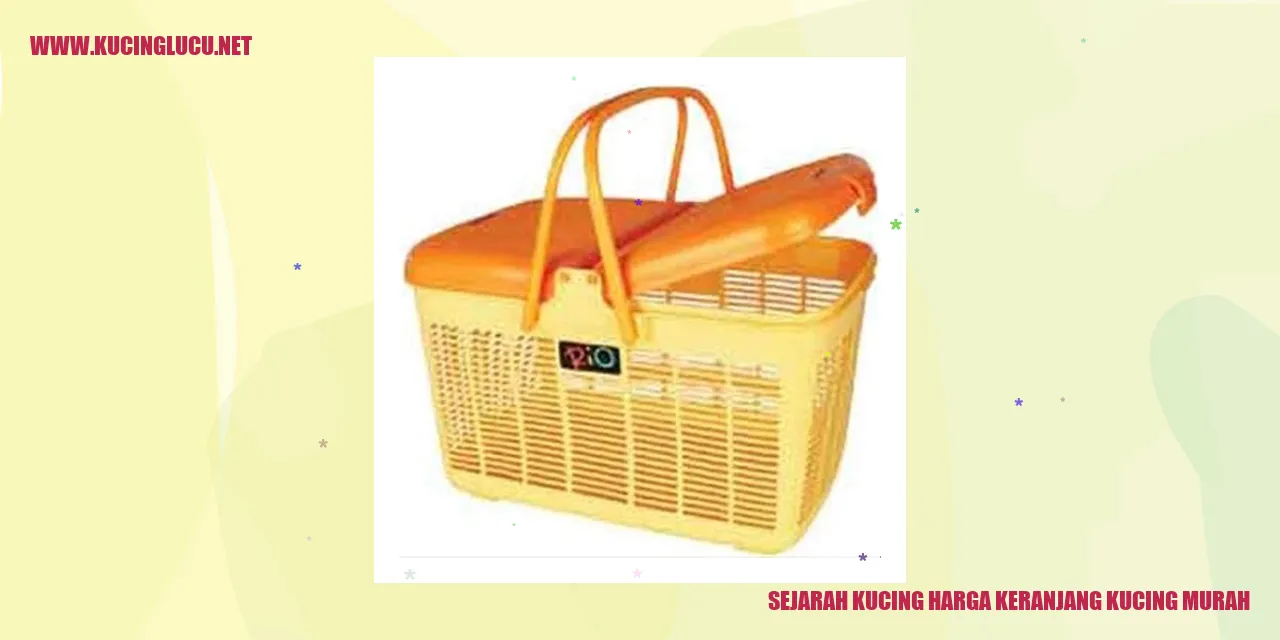 Kucing Murah
