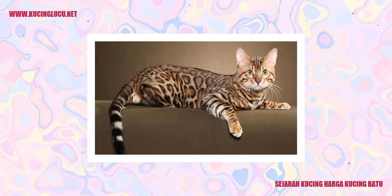 Gambar Kucing