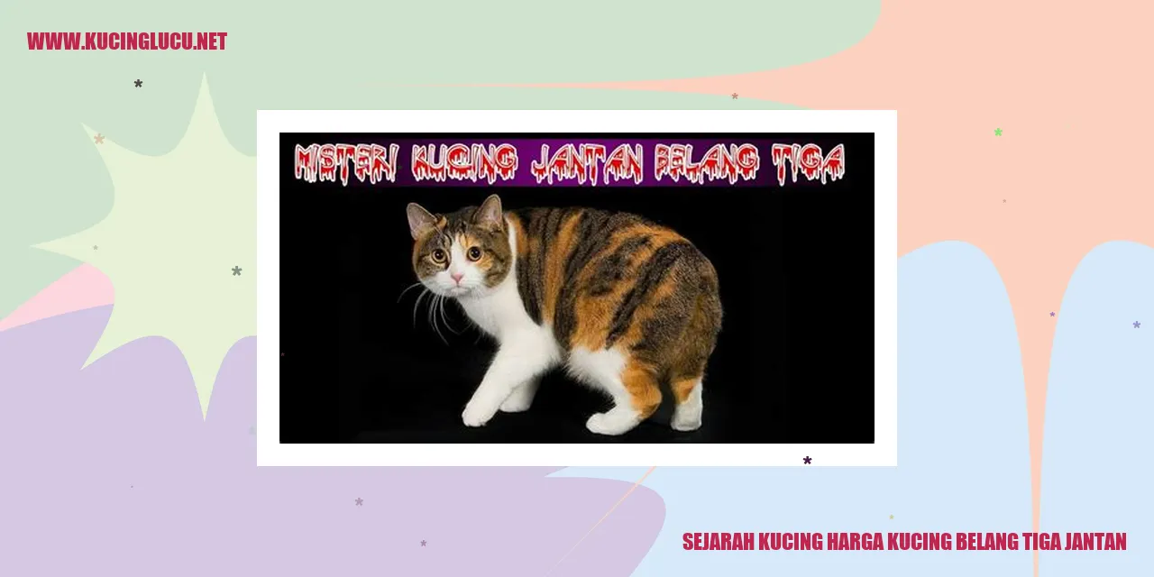 Sejarah Kucing harga kucing belang tiga jantan