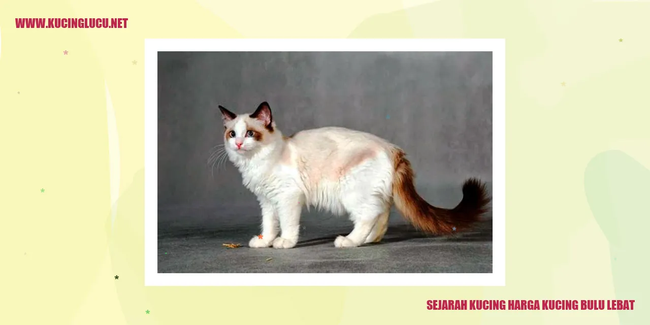 Kucing dengan bulu tebal