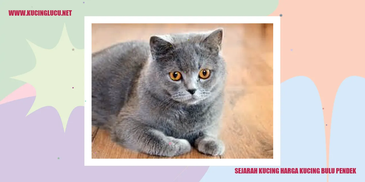 Gambar Kucing Berbulu Pendek
