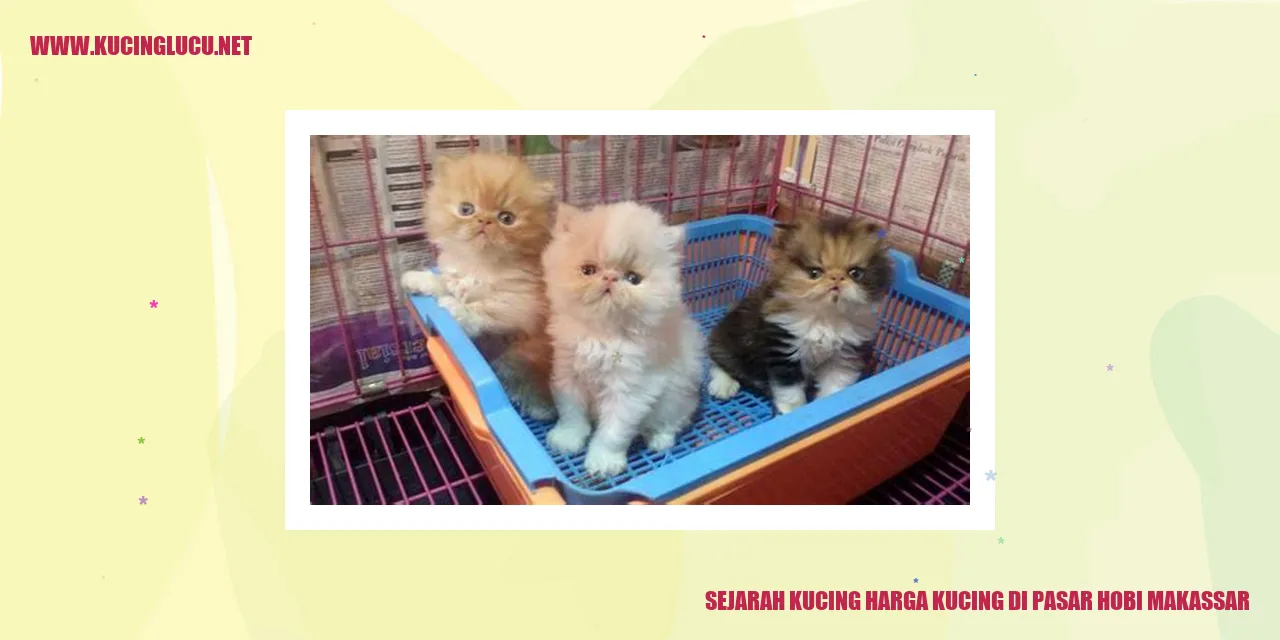Gambar Kucing