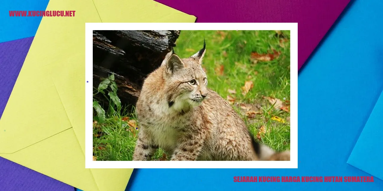 Gambar Kucing Hutan Sumatera
