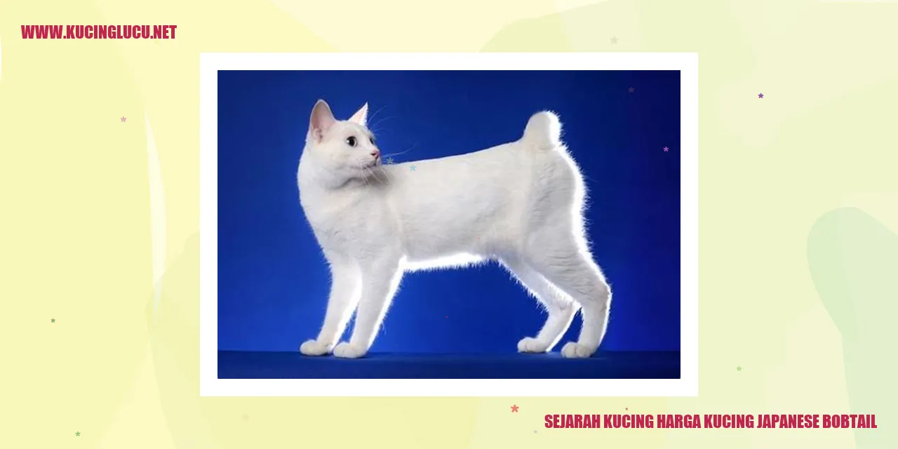 Sejarah Kucing Japanese Bobtail