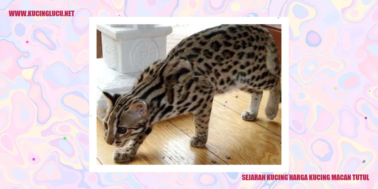 Kucing Macan Tutul yang Eksotis