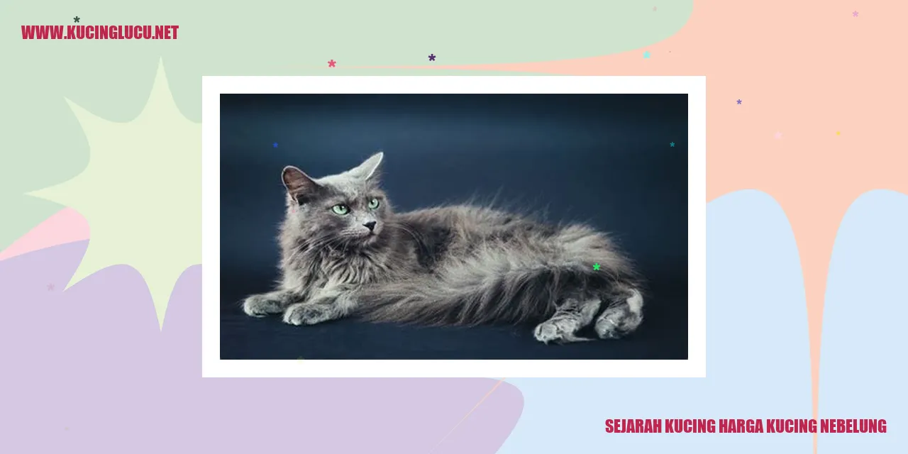 Gambar Kucing Nebelung