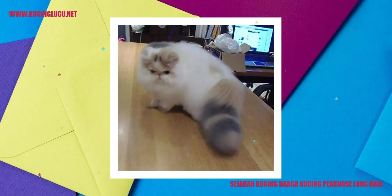 Sejarah Kucing Ragdoll