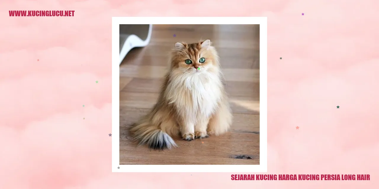 Gambar Kucing Persia Long Hair