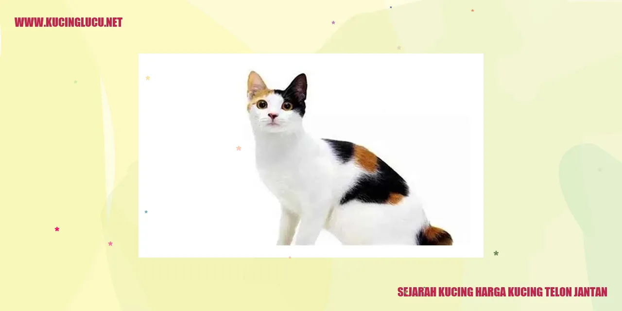Gambar Kucing Telon Jantan
