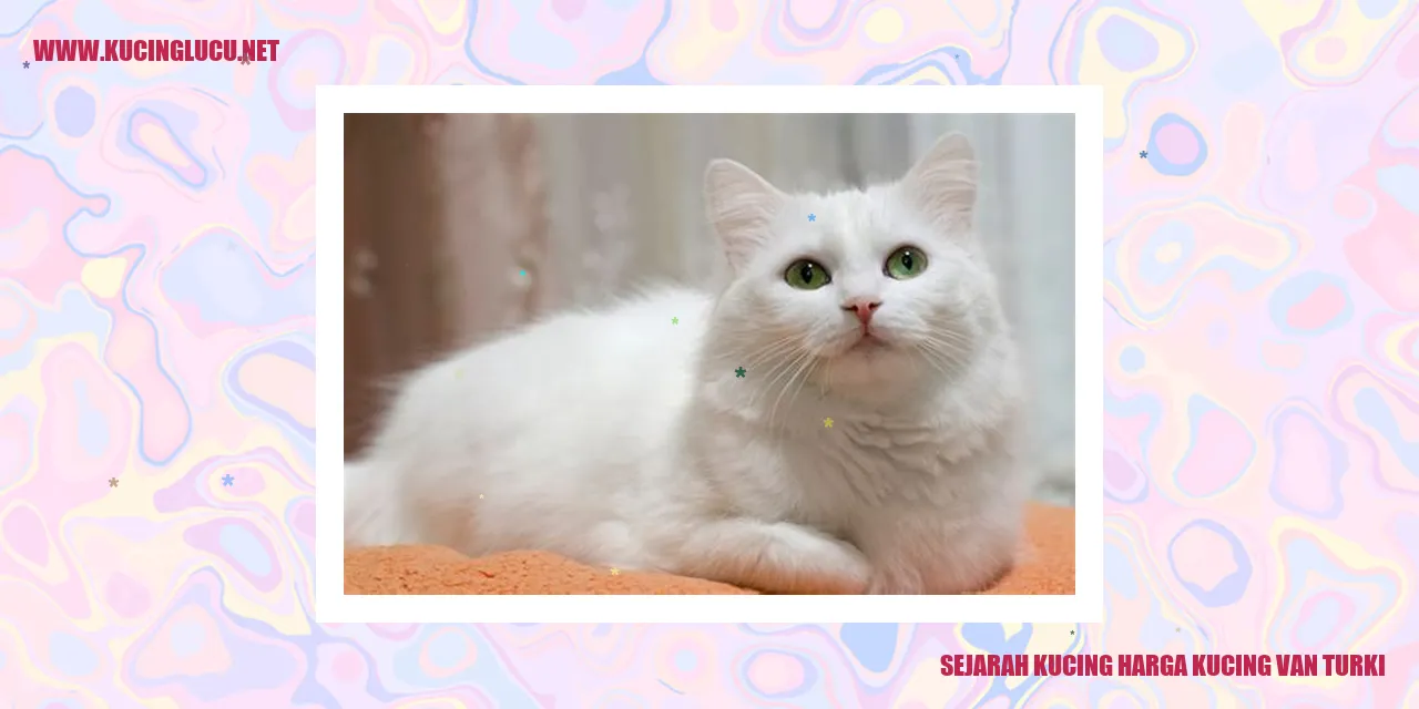 Kucing Van Turki