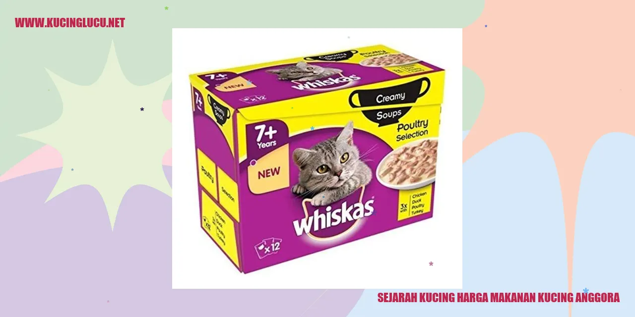 Kucing Anggora