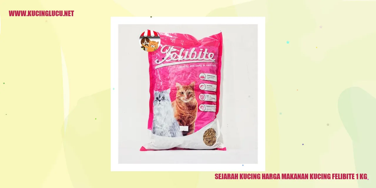 gambar kucing