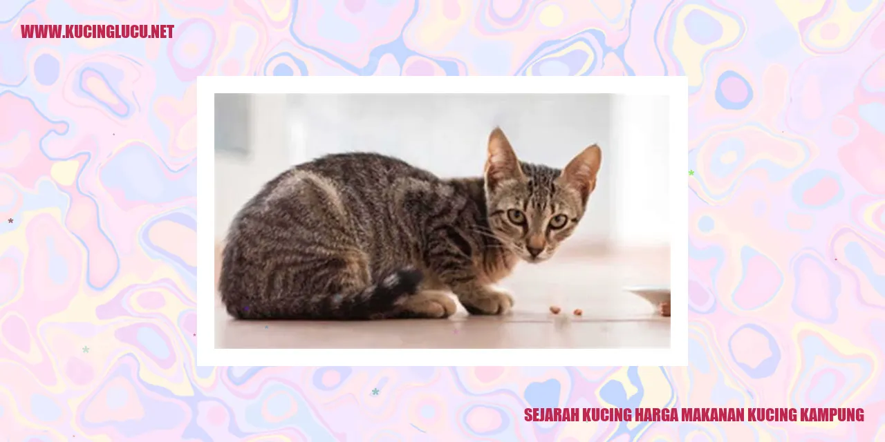 Gambar kucing kampung