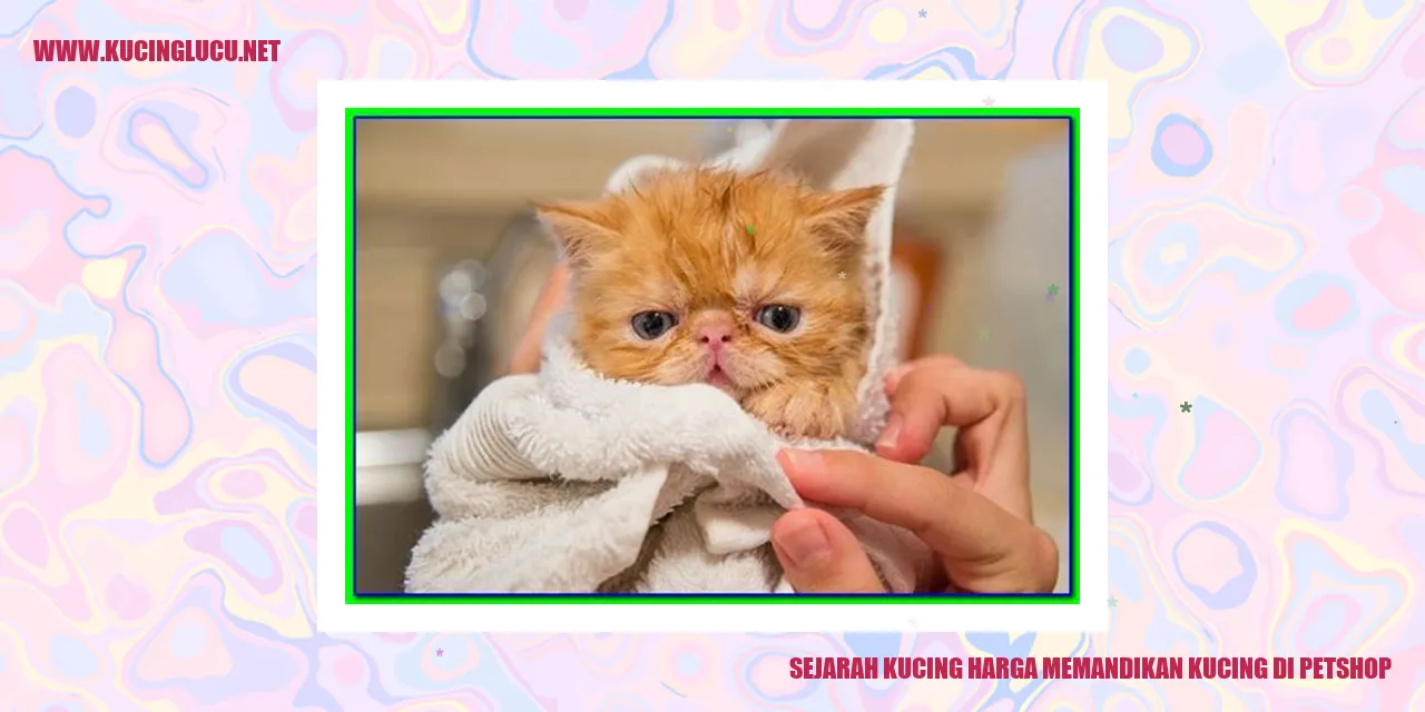 Kucing Lucu