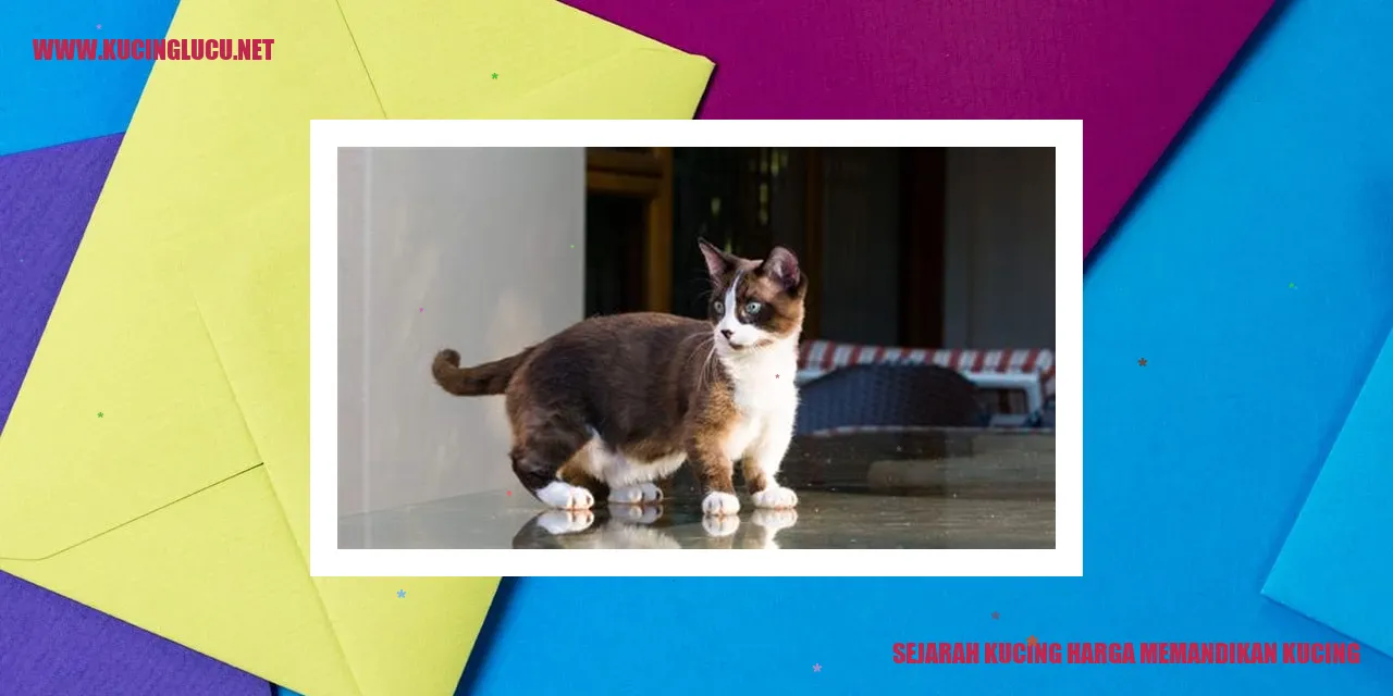 Sejarah Kucing Harga Memandikan Kucing