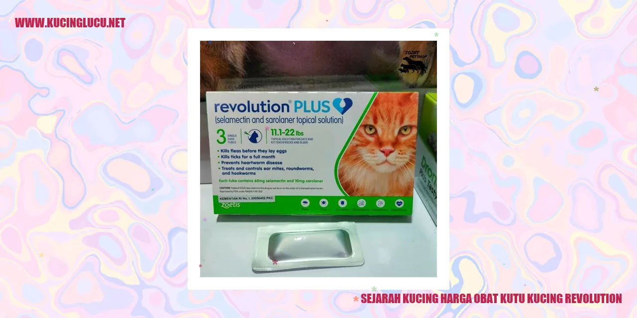 Gambar Kucing Revolution