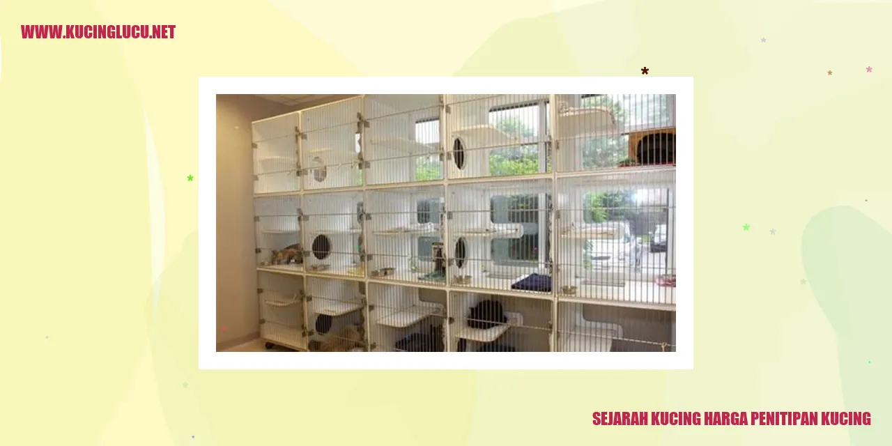 Gambar Kucing Harga Penitipan Kucing
