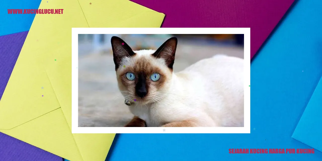 Gambar Sejarah Kucing Harga Pur Kucing