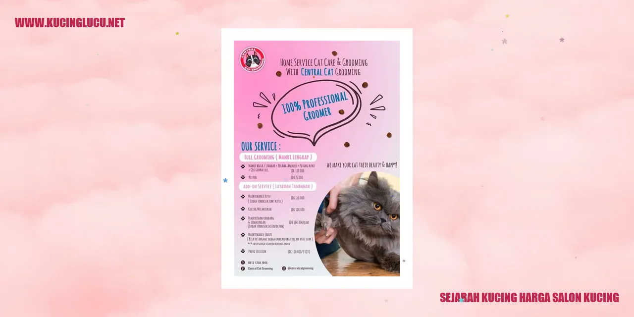 Sejarah Kucing Harga Salon Kucing
